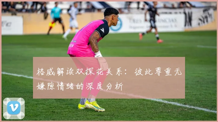 格威解读双探花关系：彼此尊重无嫌隙情绪的深度分析