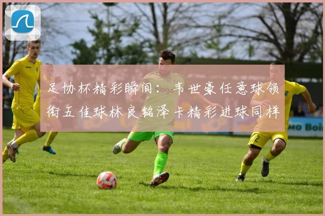足协杯精彩瞬间：韦世豪任意球领衔五佳球林良铭泽卡精彩进球同样耀眼