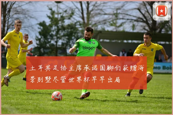 土耳其足协主席承诺国脚们获赠海景别墅尽管世界杯早早出局