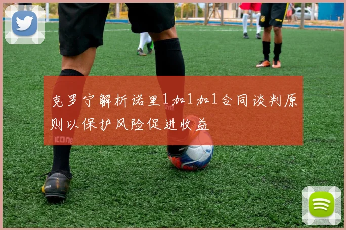 克罗宁解析诺里1加1加1合同谈判原则以保护风险促进收益